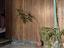 Immagine 12
