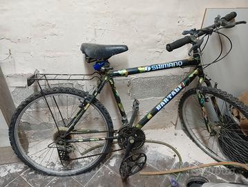 bicicletta uomo 