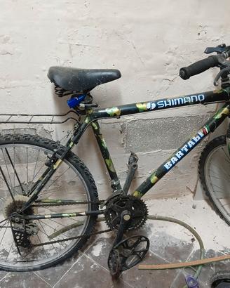 bicicletta uomo 