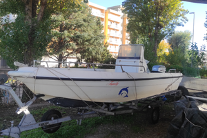 Prendisole 5mt con mariner 25cv 4tempi