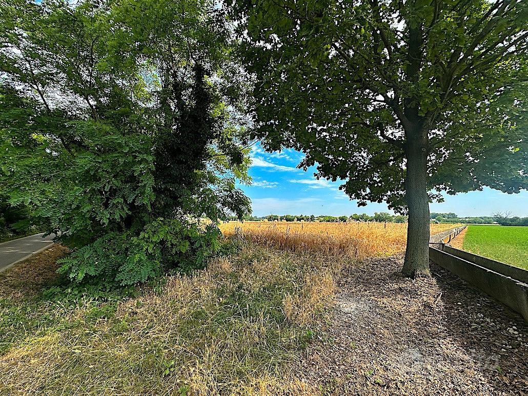 Terreno agricolo con canaletta - Vista 2