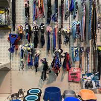 Guinzagli e accessori cani e gatti