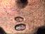 Immagine 3