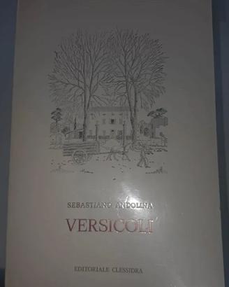 Versicoli Sebastiano Andolina Editoriale Clessidra