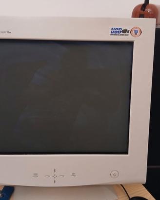 Schermo computer