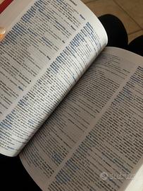 Dizionario tedesco-italiano Pearson