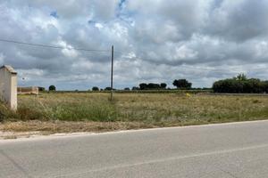 Terreno Edificabile per Uso Artigianale