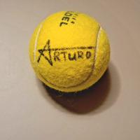 Autografo Tapia e Coello