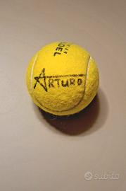 Autografo Tapia e Coello