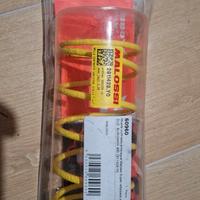 MOLLA VARIATORE MALOSSI