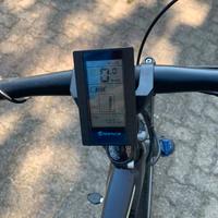 Bici pedalata assistita