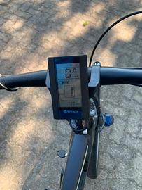 Bici pedalata assistita