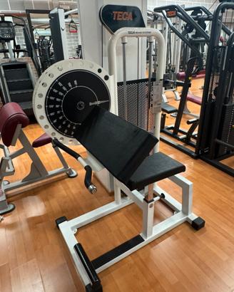 Arm curl teca