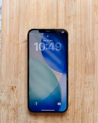 IPhone 12 Pro Max