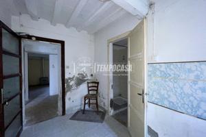 Terracielo indipendente con giardino