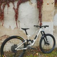 Specialized Enduro Elite Carbon 29 S3