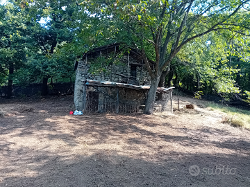 Rustico con terreno
