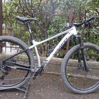 Lee Cougan Revenge 2023