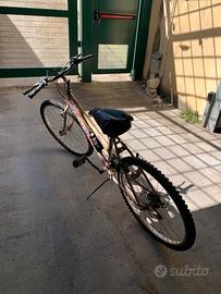 Mountain bike donna