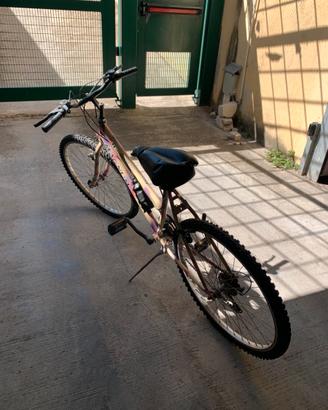 Mountain bike donna