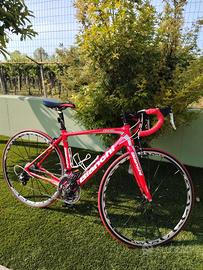 Bici da corsa Bianchi