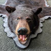 Pelliccia Orso Nero Americano Tappeto Farmhouse 