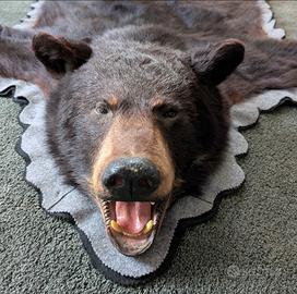 Pelliccia Orso Nero Americano Tappeto Farmhouse 