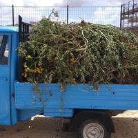 Ape Piaggio 600 cassone lungo