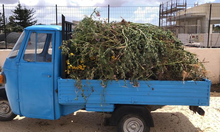 Ape Piaggio 600 cassone lungo