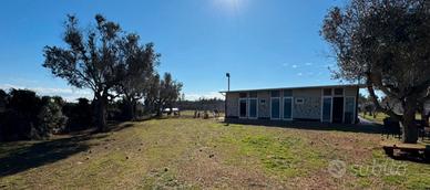 Struttura già attiva e redditizia