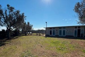 Struttura già attiva e redditizia