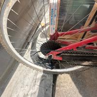 Bici mountain bike come nuova
