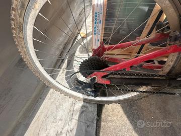 Bici mountain bike come nuova