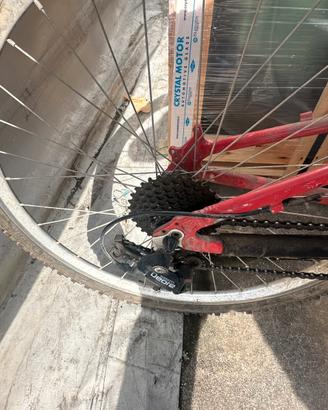 Bici mountain bike come nuova