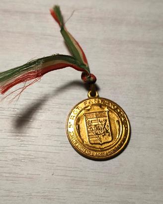 🏅Medaglia militare italiana Aosta