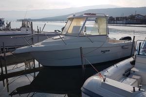 Dolphin 21 con motore Mercury 115