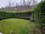 Immagine 14