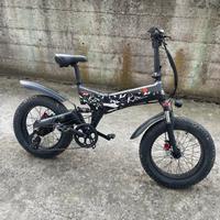 fat e-bike biammortizzata