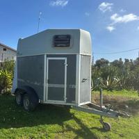 humbaur rapid 2 cavalli