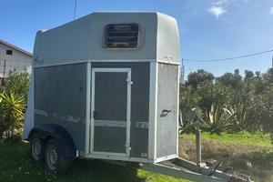 humbaur rapid 2 cavalli