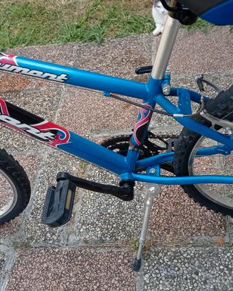 MTB 24 pollici 