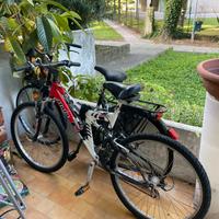 Mountain bike