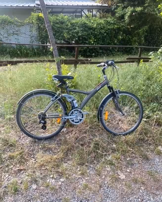 bicicletta