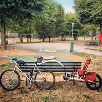 Weehoo THRILL trailer rimorchio per bicicletta