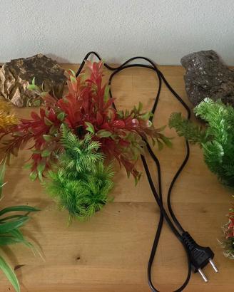 Piante rocce pompa per acquario