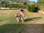 Immagine 6