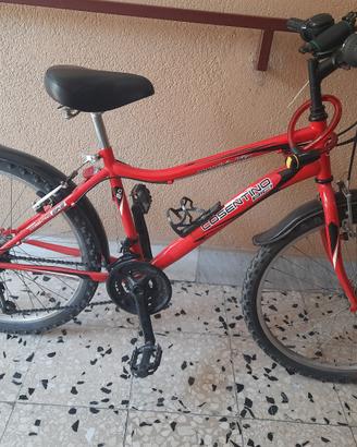 bicicletta  unisrx