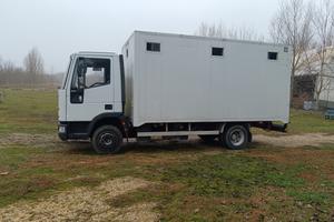 Camion Van trasporto Cavalli 