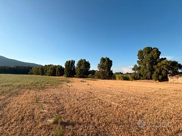 Legna da ardere