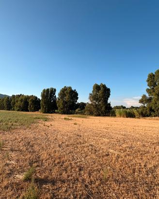 Legna da ardere